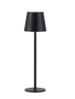 Euria Paul Neuhaus 19250-18 Table Lamp IP54 — изображение 11