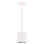 Аккумуляторная лампа Polina 21019W Globo Lighting — изображение 14