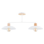 Эмибиг Кобе 2 Белый (1319/2) Плафон — изображение 20