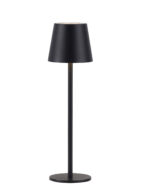 Euria Paul Neuhaus 19250-18 Table Lamp IP54 — изображение 16