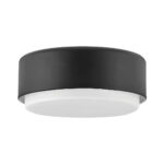 Потолочная лампа Elstead Lighting HK-CEDRIC-F-S-BK — изображение 15