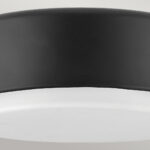 Потолочная лампа Elstead Lighting HK-CEDRIC-F-S-BK — изображение 16