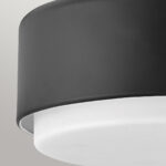 Потолочная лампа Elstead Lighting HK-CEDRIC-F-S-BK — изображение 17