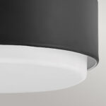 Потолочная лампа Elstead Lighting HK-CEDRIC-F-S-BK — изображение 18