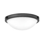 Elstead Lighting Plafon HK-COLLIER-F-S-BX — изображение 18