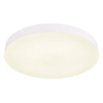 Globo Lighting Led Plafon 12384-24W Мэтью — изображение 19