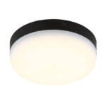 Globo Lighting 7387-8 Мэтью — изображение 19