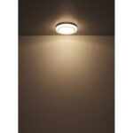 Led Plafon Globo Lighting 41265K — изображение 12