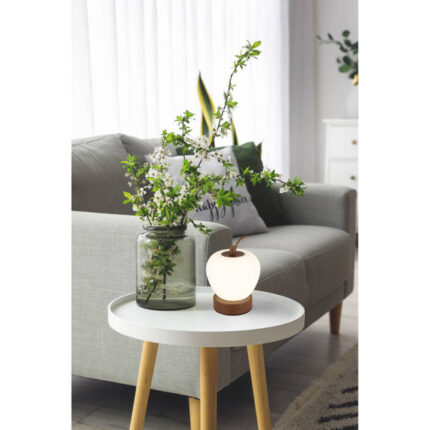 Аккумуляторная лампа Evalina 21011 Globo Lighting