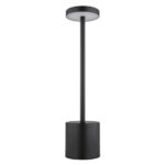 Аккумуляторная лампа Polina 21019B Globo Lighting — изображение 4