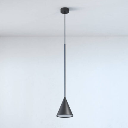 Cleoni Rim F 50 LA39/F4/116/3000 К. Современное повешение