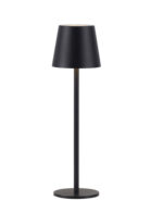 Euria Paul Neuhaus 19250-18 Table Lamp IP54