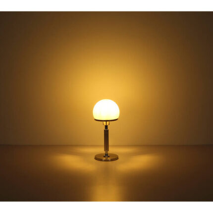 Светильник Globo Lighting Haku 21954S Корпусная лампа