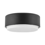 Потолочная лампа Elstead Lighting HK-CEDRIC-F-S-BK