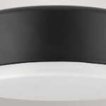 Потолочная лампа Elstead Lighting HK-CEDRIC-F-S-BK — изображение 2