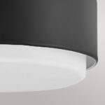 Потолочная лампа Elstead Lighting HK-CEDRIC-F-S-BK — изображение 4