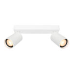 Потолочная лампа Italux Nesto SPL-23436-2-WH