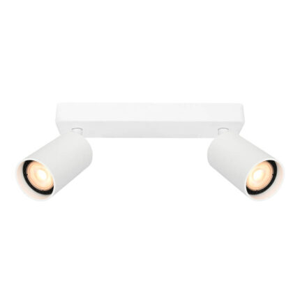 Потолочная лампа Italux Nesto SPL-23436-2-WH