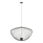 Новодворская тыква L 11252 Zwis