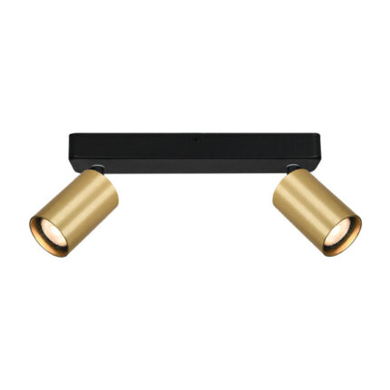 Потолочный корпус Italux Nesto SPL-23436-2-BK-GD