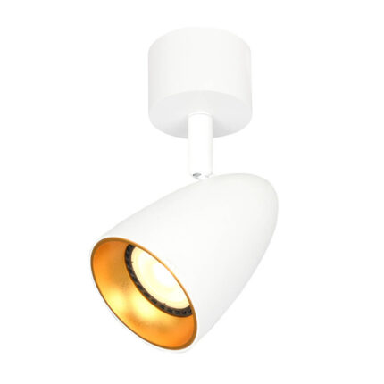 Потолочный корпус Italux Tino SPL-36748-1R-WH-GD