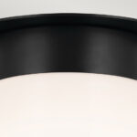 Плафон Elstead Lighting KL-ALBERS-F-T-BK — изображение 4