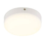 Led Plafon Globo Lighting 12387-8W Мэтью