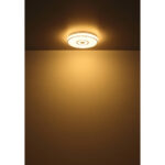 Globo Lighting 41264 Astania 3000K — изображение 3