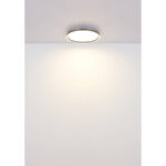 Globo Lighting 48802-38 Дублин Led Plafon — изображение 4