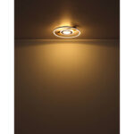 Globo Lighting 67323-24 Пикар — изображение 4