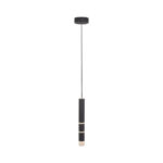Zwis PURE-VEGA Paul Neuhaus 2211-18