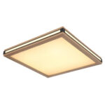 Globo Lighting 41589D1 Led Plafon Карлы — изображение 8