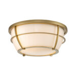 Chance Elstead Lighting QN-CHANCE-SF-S-HB Плафон — изображение 13