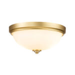 Малибу FE-MALIBU-F-BATH-PB потолочная лампа Elstead Lighting — изображение 6