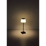Globo Lighting Грегуар 58434B Корпусная лампа — изображение 13