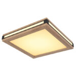 Globo Lighting 41589D1 Led Plafon Карлы — изображение 9