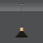 Висячая лампа ROWEN 1 BLACK Black (1044/1) — изображение 29