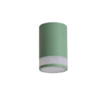 Dann Lux Design ANET DLD5261 с потолком зеленого цвета