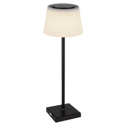Globo Lighting Грегуар 58434B Корпусная лампа
