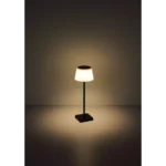 Globo Lighting Грегуар 58434B Корпусная лампа — изображение 3