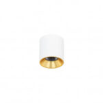 Italux CLN-6677-75-WH-GD-3K Белое пятно Альтисма
