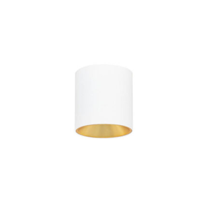 Italux CLN-6677-75-WH-GD-3K Белое пятно Альтисма