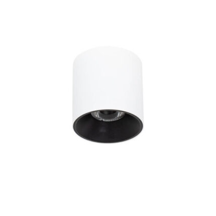 Italux CLN-6677-95-WH-BL-3K Белое пятно Альтисма