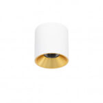 Italux CLN-6677-95-WH-GD-3K Белое пятно Альтисма