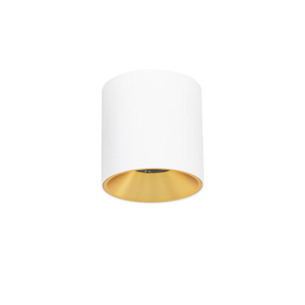 Italux CLN-6677-95-WH-GD-3K Белое пятно Альтисма