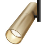 Потолочная лампа Elti Black-Gold (C020CL-01GB) - Maytoni — изображение 5