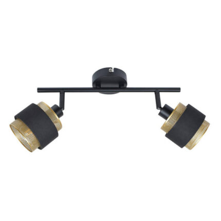 Italux Renez SPL-95820-2 потолочная лампа