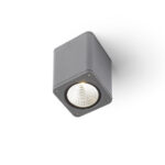 R11966 Plafon Redlux