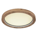 Свинцовый Plafon Globo Lighting 41374-24R промышленность