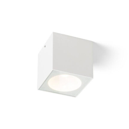 R13624 Senza Внешний Plafon Redlux